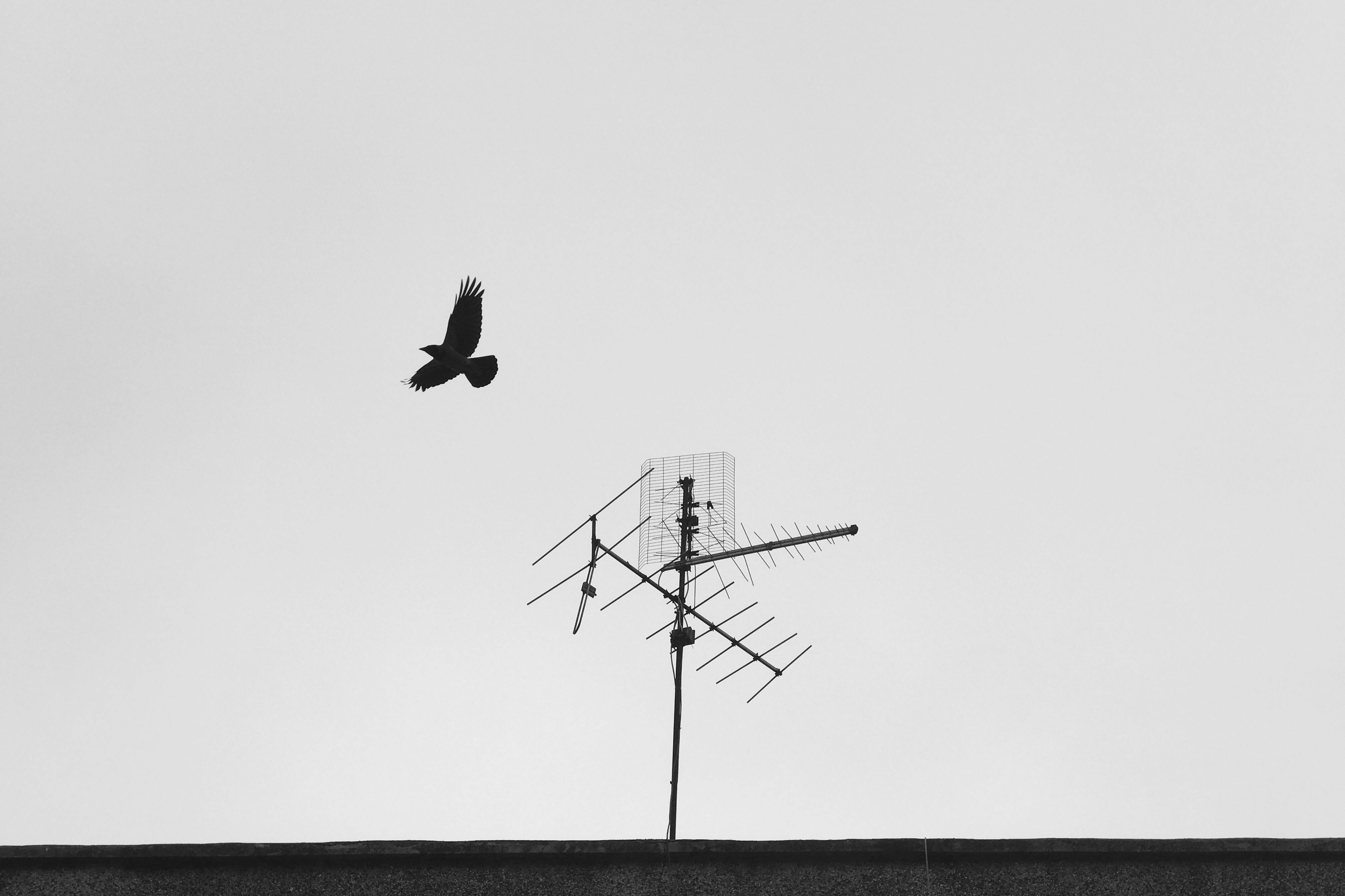 Antena pokojowa vs zewnętrzna – kiedy wystarczy ta z salonu?